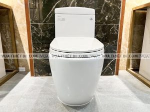 Bồn cầu 1 khối VIGLACERA V199 nắp êm