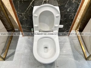 VIGLACERA V199 - Bồn cầu 1 khối nắp êm 7 Bồn cầu 1 khối VIGLACERA V199 nắp êm