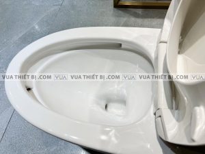 VIGLACERA V62 - Bồn cầu 1 khối nắp êm 3 Bồn cầu 1 khối VIGLACERA V62 nắp êm