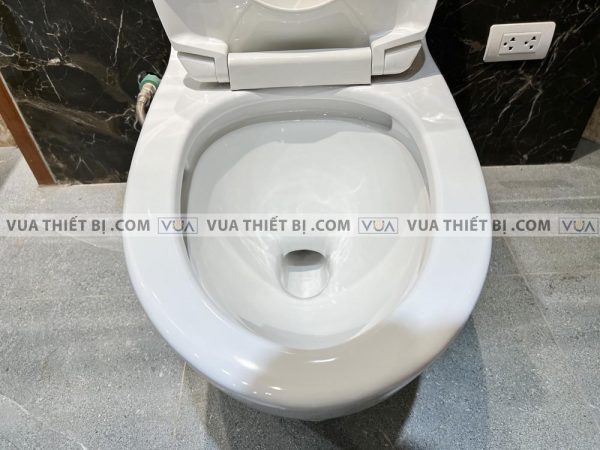 Bồn cầu 1 khối VIGLACERA V62 nắp êm