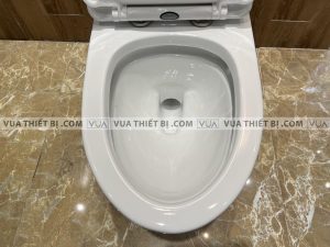 VIGLACERA V63 - Bồn cầu 1 khối nắp êm 4 Bồn cầu 1 khối VIGLACERA V63 nắp êm