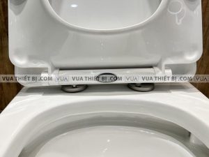 VIGLACERA V63 - Bồn cầu 1 khối nắp êm 3 Bồn cầu 1 khối VIGLACERA V63 nắp êm