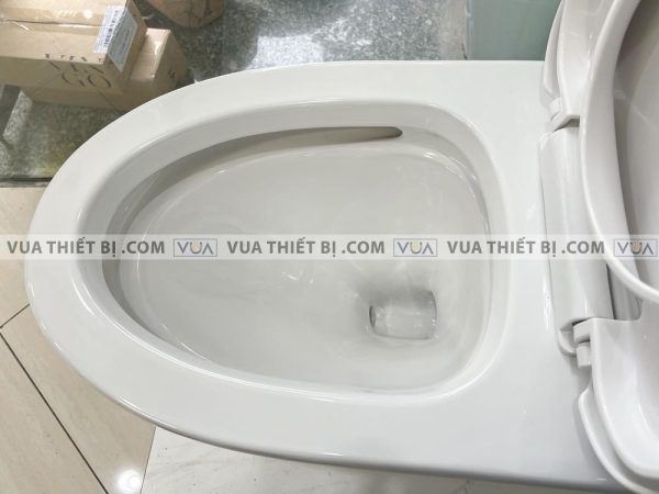 Bồn cầu 1 khối VIGLACERA V700 FANSIPAN nắp êm