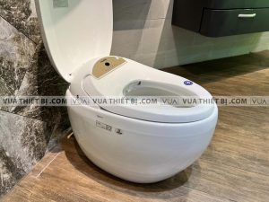 VIGLACERA V96 V-SMART - Bồn cầu thông minh nắp điện tử 4 Bồn cầu điện tử VIGLACERA V96 V-SMART thông minh