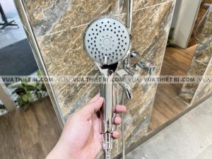 Vòi sen cây VIGLACERA VG581 nóng lạnh