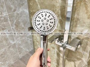Vòi sen cây VIGLACERA VG593 nóng lạnh