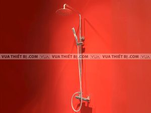 Vòi sen cây VIGLACERA VG596 nóng lạnh