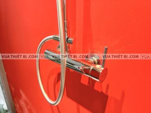 Vòi sen cây VIGLACERA VG596 nóng lạnh