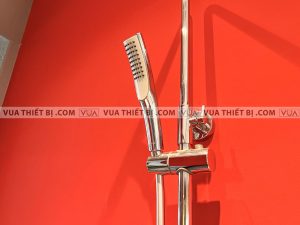 Vòi sen cây VIGLACERA VG596 nóng lạnh