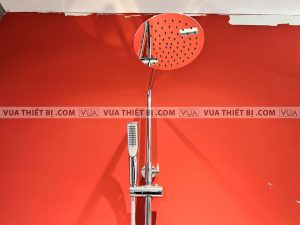 Vòi sen cây VIGLACERA VG596 nóng lạnh