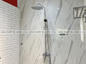 Vòi sen cây VIGLACERA VG597 nóng lạnh