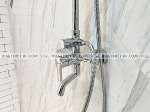 Vòi sen cây VIGLACERA VG597 nóng lạnh