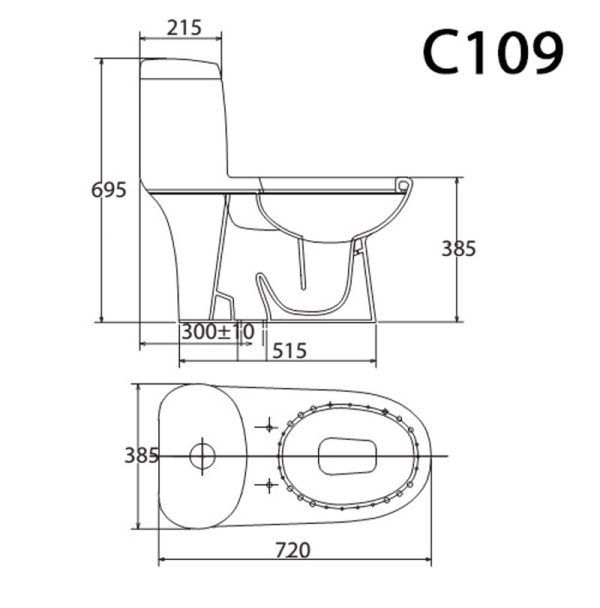 Bản vẽ kĩ thuật Bồn cầu 1 khối VIGLACERA C109 nắp êm