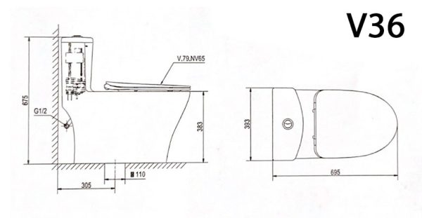 Bản vẽ kĩ thuật Bồn cầu 1 khối VIGLACERA V36 nắp êm