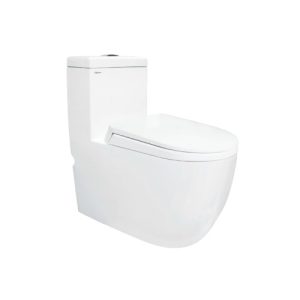 Trang chủ 18 Bồn cầu 1 khối VIGLACERA V51 nắp êm