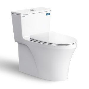 Bồn cầu 1 khối VIGLACERA HL2 nắp êm