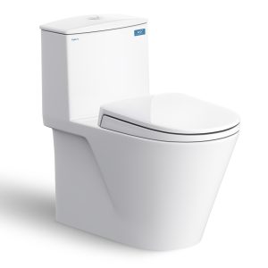 Bồn cầu 1 khối VIGLACERA V817 nắp êm