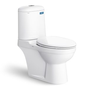 Bồn cầu 2 khối VIGLACERA VI107 nắp thường V1102